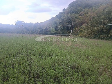Foto Terreno agricolo a Città di Castello di 13000 m² in vendita