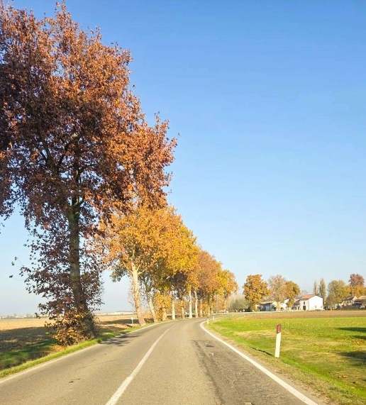 immagine annuncio 3 di 4