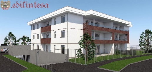 immagine annuncio 1 di 8