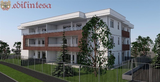 immagine annuncio 2 di 8