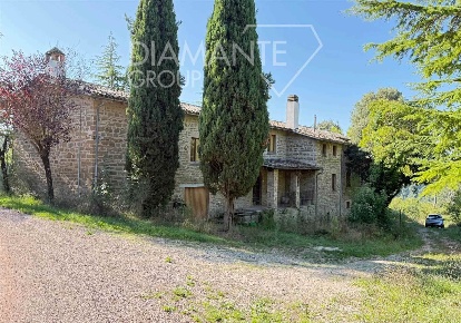 Foto Cessione attività a Gubbio di 2693 m² con 18 locali in vendita