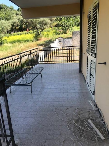 immagine annuncio 5 di 13