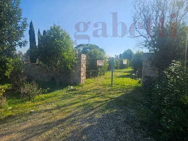 Foto Terreno agricolo in Leverano, Copertino di 3900 m² in vendita
