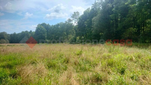 Foto Terreno agricolo in risorgimento, Gattico-Veruno Gattico di 30000 m²