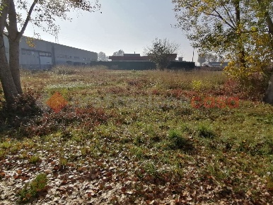 Foto Terreno residenziale in Via Torino 0, Cerea Zona Industriale