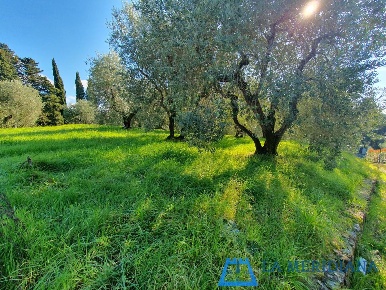 Foto Terreno residenziale a Lamporecchio Piazza Anfiteatro - Torre Guinigi
