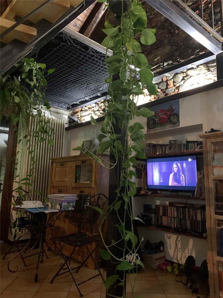 immagine annuncio 2 di 9