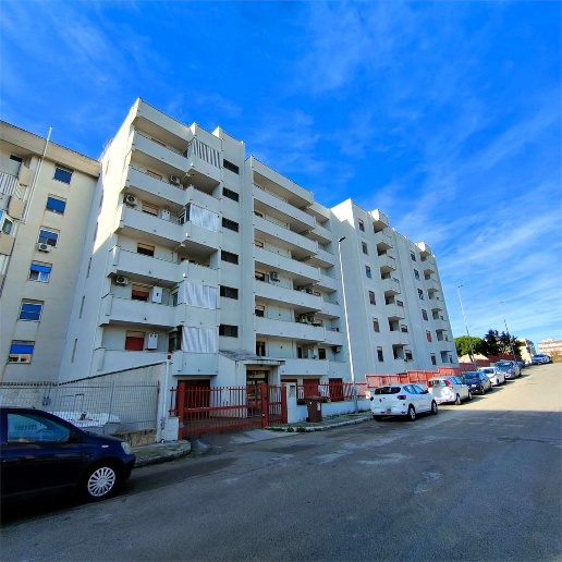 immagine annuncio 9 di 14