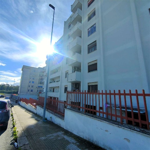 immagine annuncio 10 di 14