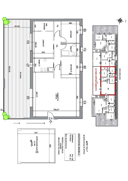 immagine annuncio 12 di 14