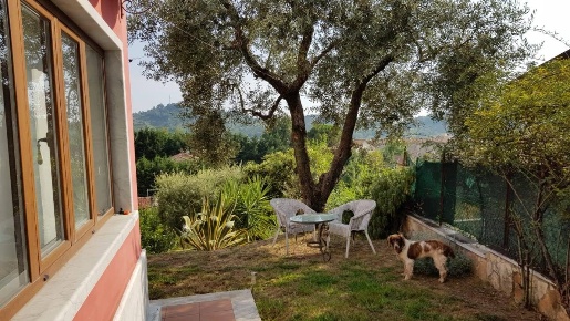 Foto Case indipendenti a Carrara Centro di 55 m² con 2 locali in affitto