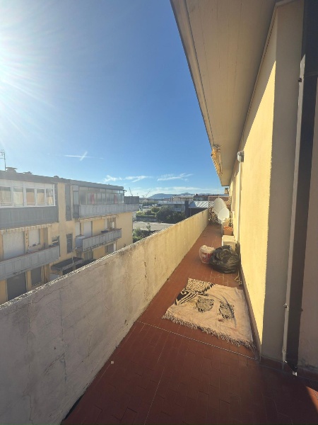 immagine annuncio 12 di 14