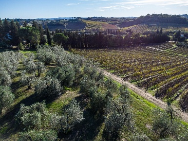 Foto Cessione attività a Empoli Pozzale - Case Nuove di 420 m² in vendita