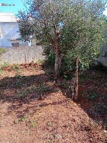 Foto Terreno residenziale a Cavallino Centro di 650 m² in vendita