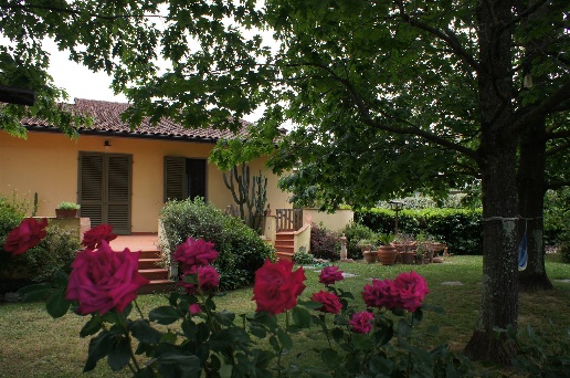 casa indipendente in vendita a Signa in zona Lecore