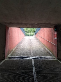 Foto Garage in Via Montecassino 11, Monza Centro, Parco, Boschetti Reali