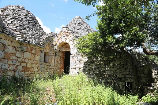 immagine annuncio 1 di 7