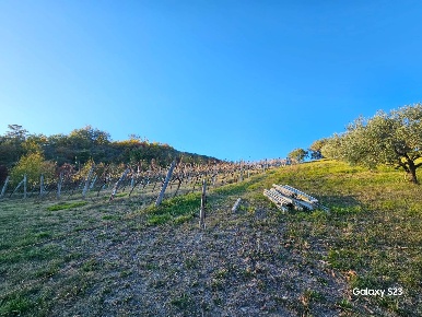Foto Terreno agricolo a San Severino Marche di 25000 m² in vendita