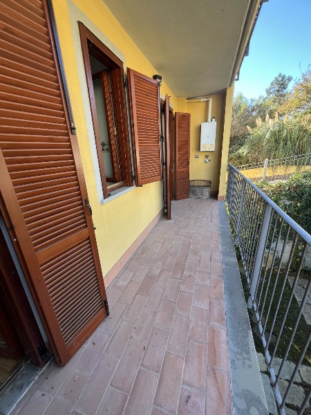 immagine annuncio 9 di 14