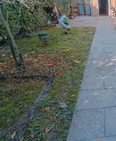 Foto Villa a schiera a Borgo San Lorenzo Centro di 90 m² con 4 locali