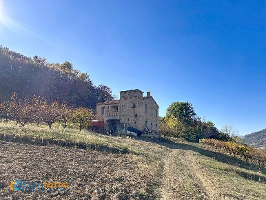 Foto Casa indipendente in CONTRADA SANT'EMIDIO, Montalto delle Marche