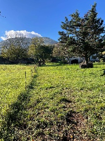 Foto Terreno residenziale in VIA CARPINETANA OVEST, Segni di 2800 m²