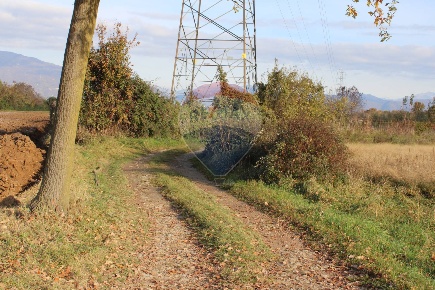 Foto Terreno agricolo a Bonate Sotto di 6800 m² in vendita