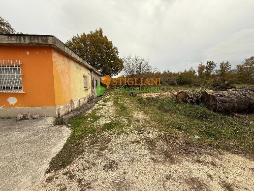 immagine annuncio 6 di 8