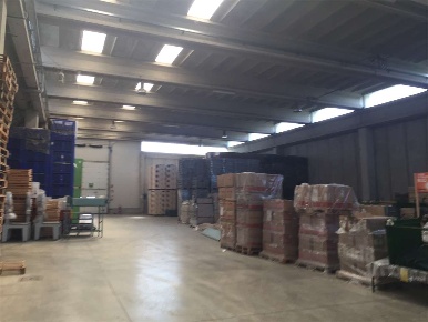 Foto Capannone industriale a Russi di 6500 m² con 1 locali in vendita