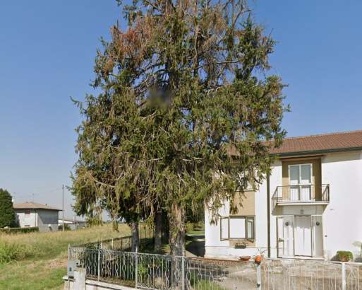 Foto Appartamento in Via Spin, Nogara di 147 m² con 8 locali all'asta