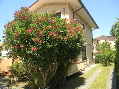 Foto Villa bifamiliare in via cecco angiolieri 22, Pietrasanta di 120 m²