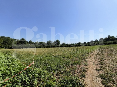 Foto Terreno agricolo in LocalitÃ  loiano snc, Gallese di 16590 m²