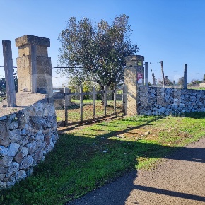 Foto Terreno agricolo a Ugento di 3270 m² in vendita