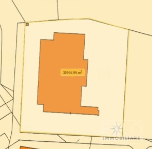 Foto Capannone industriale a Lendinara Centro di 31000 m² in vendita