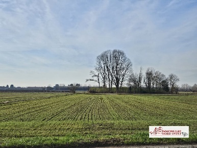 Foto Terreno in Via vittorio Veneto, Corbetta Castellazzo, Soriano, Cerello