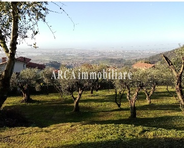 Foto Terreno residenziale a Massarosa Bargecchia, Corsanico di 2000 m²