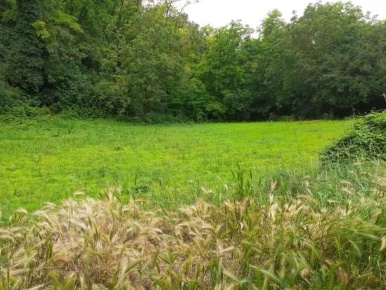Foto Terreno agricolo a Borgoratto Mormorolo Ca' Bernocchi di 2535 m²