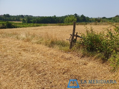 Foto Terreno agricolo a Lamporecchio Centro di 10000 m² in vendita