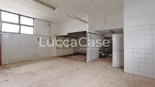 Foto Laboratorio a Lucca Santa Maria a Colle - Ponte San Pietro di 90 m²