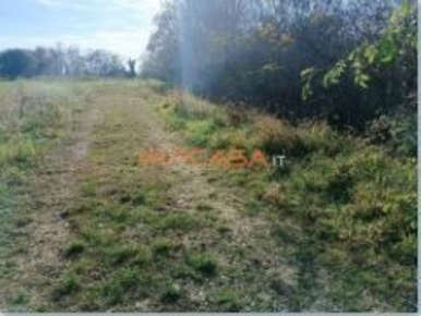 Foto Terreno agricolo in VIA TELGATE, Palosco di 12000 m² in vendita
