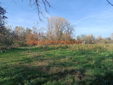 Foto Terreno agricolo in VIA TELGATE, Palosco di 12000 m² in vendita