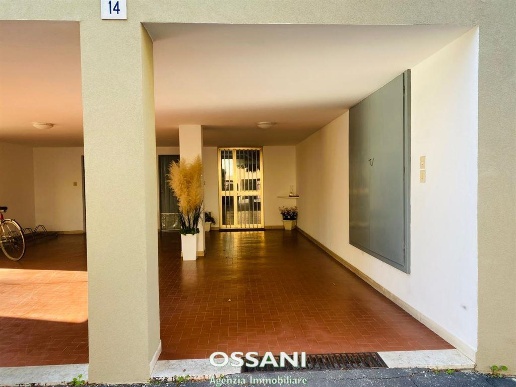 immagine annuncio 1 di 14