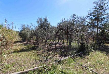 Foto Terreno agricolo in C.DA SABUCI, Lentini di 7880 m² in vendita