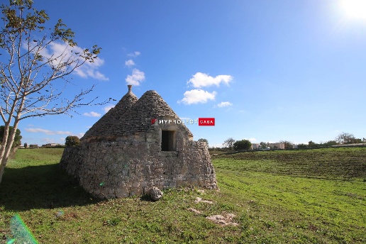 immagine annuncio 1 di 11