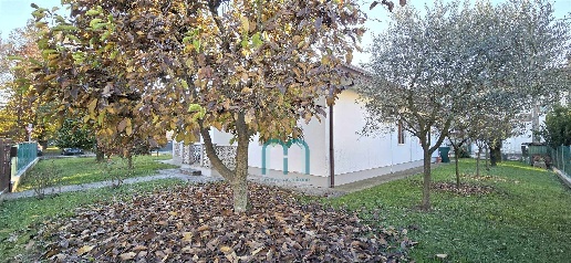 immagine annuncio 4 di 14