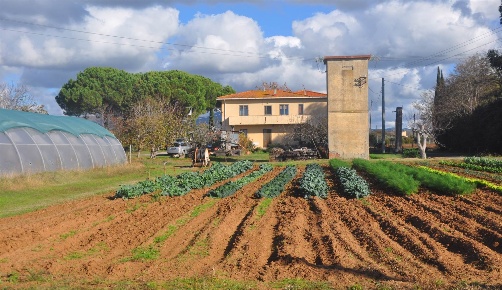 Foto Villa unifamiliare in Stradone della Torre, Rosignano Marittimo