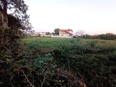 Foto Terreno edificabile in via dei zucchetti, Nettuno Cioccati, Zucchetti