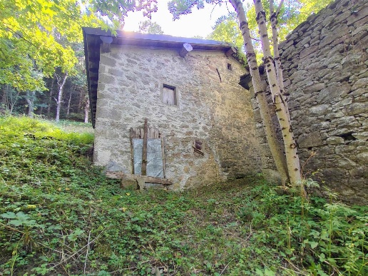 immagine annuncio 1 di 4