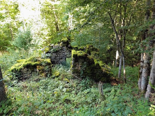 immagine annuncio 2 di 4