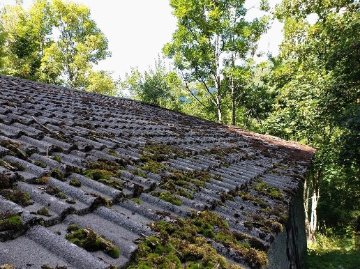 immagine annuncio 3 di 4